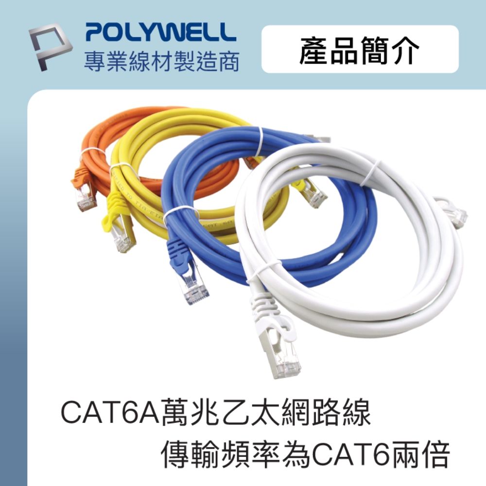 POLYWELL 寶利威爾 CAT6A 高速乙太網路線 S/FTP 10Gbps/ 5M