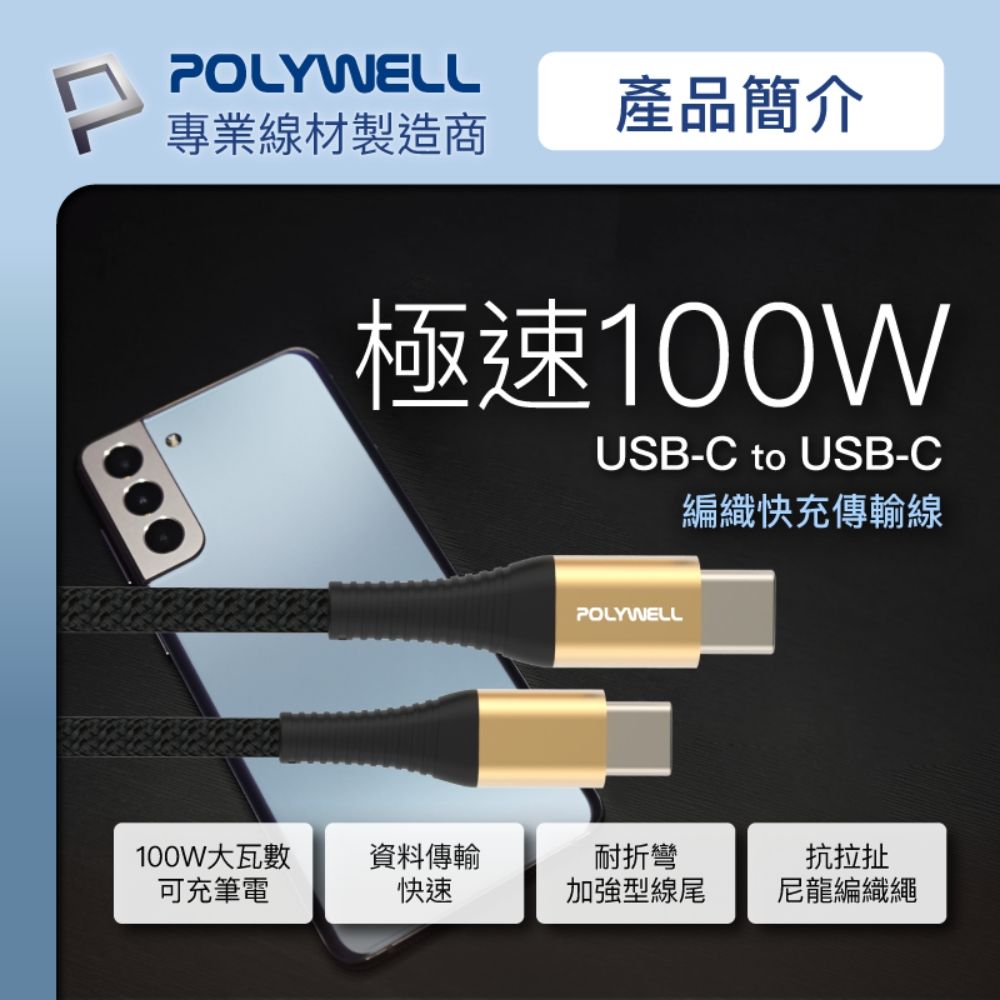 POLYWELL 寶利威爾 USB Type-C 100W 公對公 PD快充線 /金色 /2M