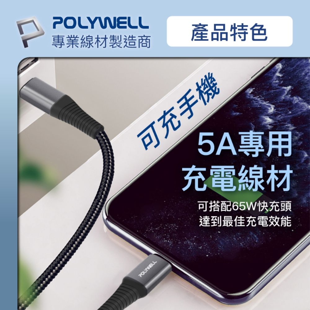 POLYWELL 寶利威爾 USB Type-C 100W 公對公 PD快充線 /金色 /2M