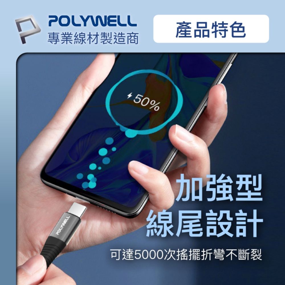 POLYWELL 寶利威爾 USB Type-C 100W 公對公 PD快充線 /金色 /2M