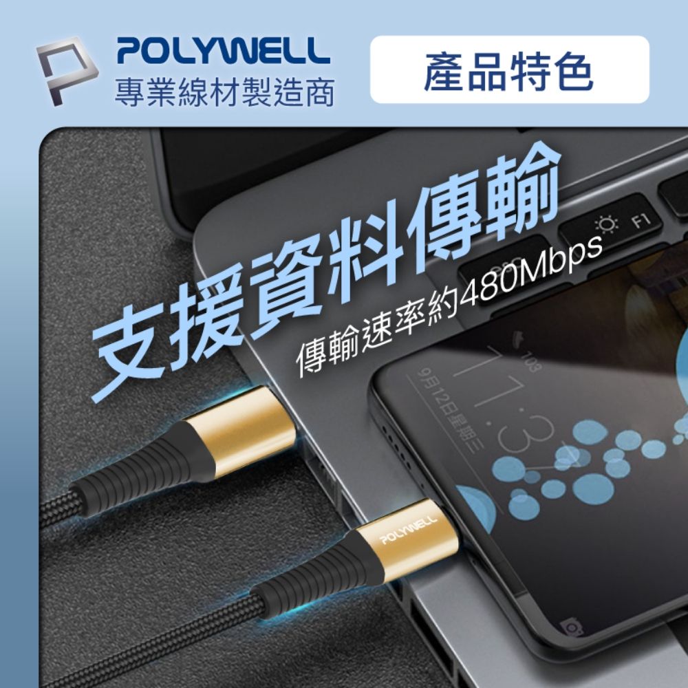 POLYWELL 寶利威爾 USB Type-C 100W 公對公 PD快充線 /金色 /2M