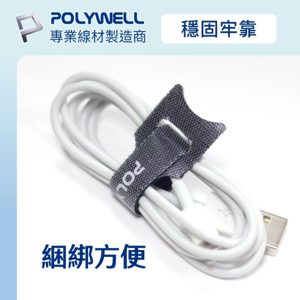 POLYWELL 寶利威爾 針型束線帶 /黑色/ 同色15入