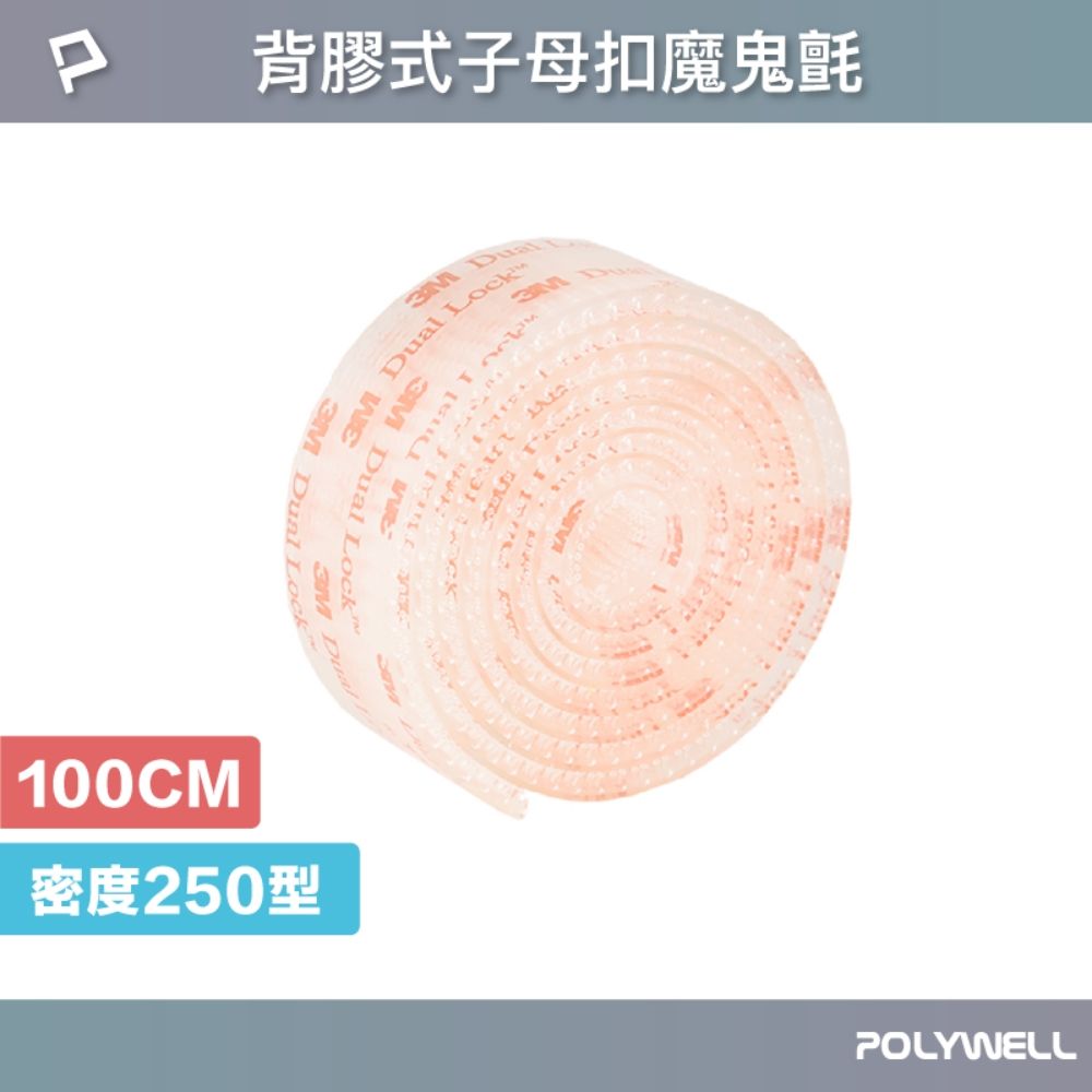 POLYWELL 寶利威爾 背膠式子母扣魔鬼氈 密度250型 /透明色 /100公分