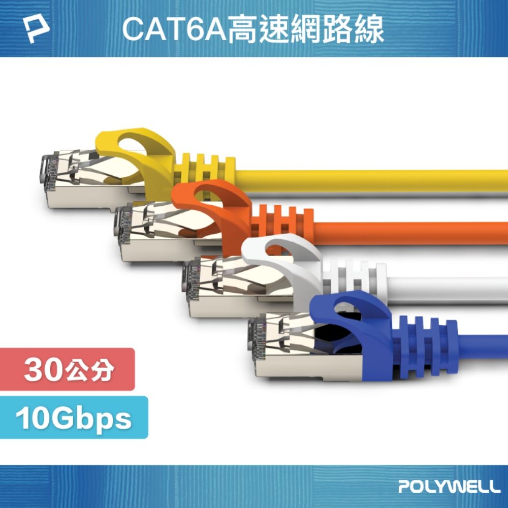 POLYWELL 寶利威爾 CAT6A 高速乙太網路線 S/FTP 10Gbps/ 30公分