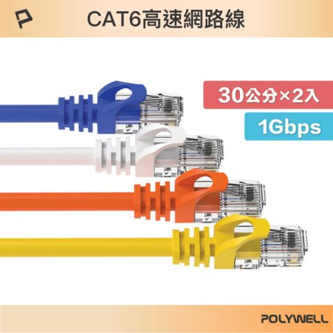 POLYWELL 寶利威爾 CAT6 網路線 /30公分 /2入