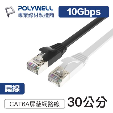 POLYWELL CAT6A 高速網路扁線 30公分 支援2.5G/5G/10G Base-T乙太網路