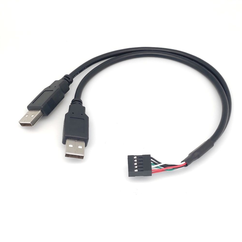 Benevo  30cm 主機板9PIN轉雙USB2.0 A公連接線 (BUSB0032AM9P)