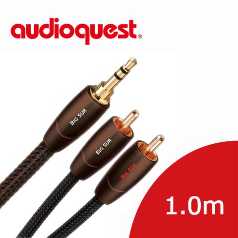 Audioquest 線聖 美國  BIG SUR (3.5mm-RCA) 音源訊號線 1.0m