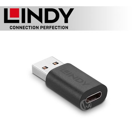 LINDY 林帝 USB 3.2 Gen2 Type-A/公 to Type-C/母 轉接頭 (41904)