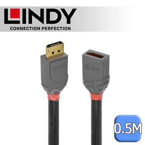 LINDY 林帝 ANTHRA DisplayPort 1.4版 公 to 母 延長線 0.5M (36495)
