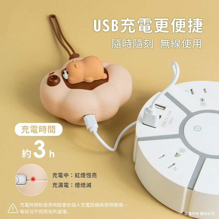 aibo USB充電式 雲朵朵 暖蛋/暖手寶(二檔調溫)