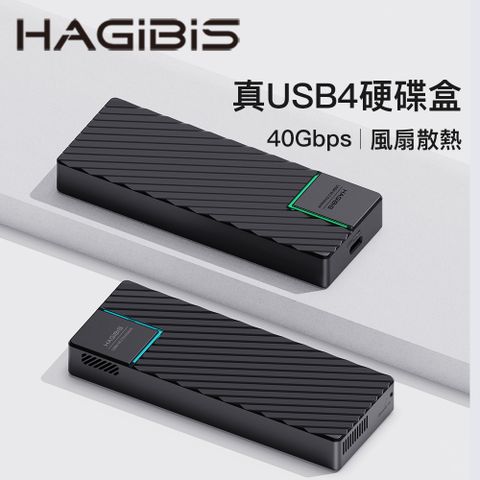 HAGiBiS鋁合金USB4硬碟盒（黑色）UD1101