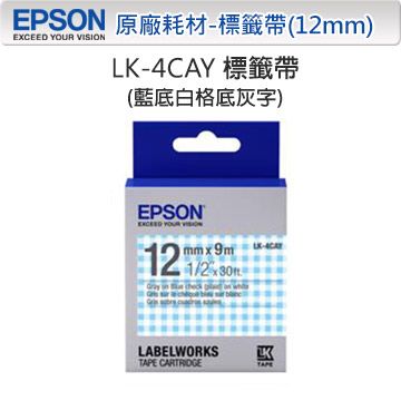 EPSON 愛普生  LK-4CAY C53S654446Pattern系列標籤帶