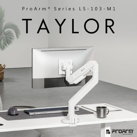 Raymii LS-103-M1 高承重螢幕支架