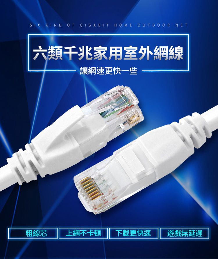 LANS 超六類網路線 CAT6 高速網路線 CAT.6 網路線 