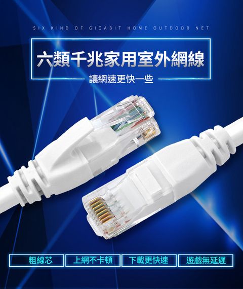 LANS 超六類網路線 CAT6 高速網路線 CAT.6 網路線