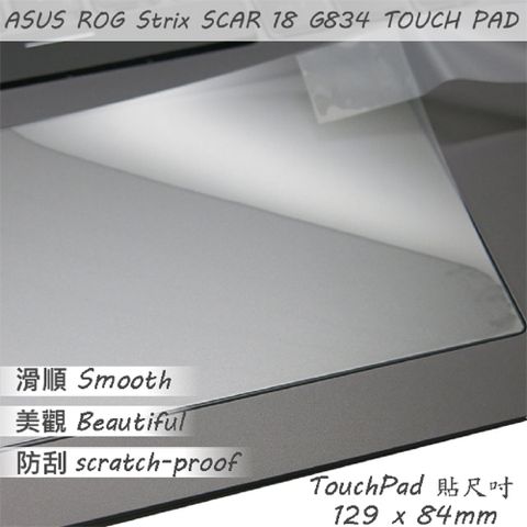 ASUS 華碩 G834 G834JZ 系列適用 TOUCH PAD 觸控板 保護貼