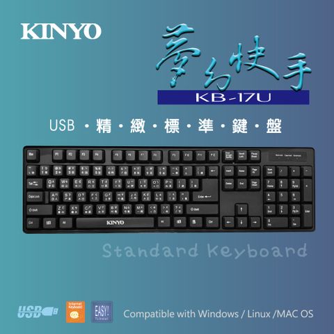 KINYO USB精緻標準鍵盤 KB-17U