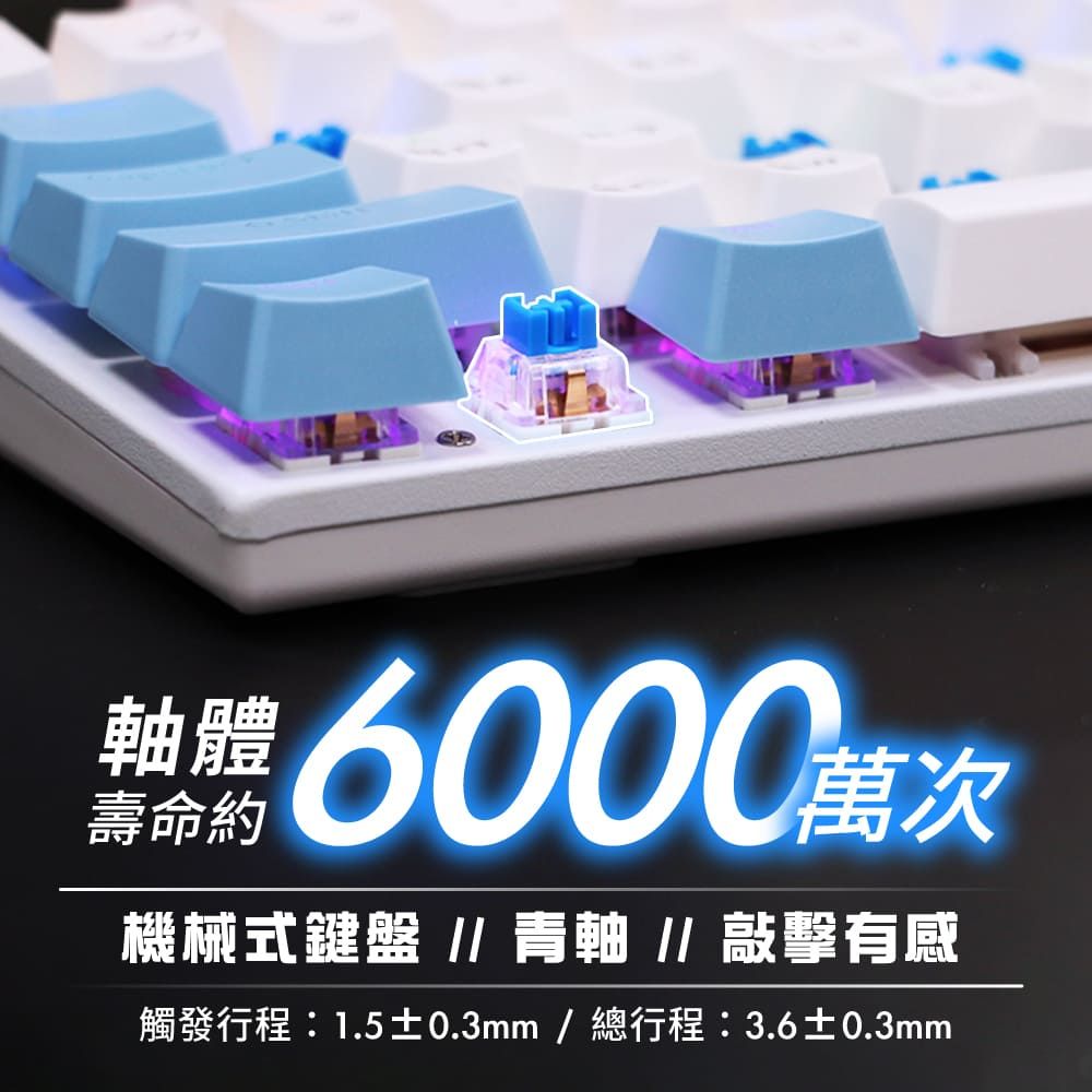 DTAudio 聆翔 【藍白色】G300機械鍵盤 電競鍵盤 遊戲鍵盤 辦公鍵盤 RGB 燈 懸浮鍵帽 旋轉按鈕 青軸 全鍵無衝 熱插拔