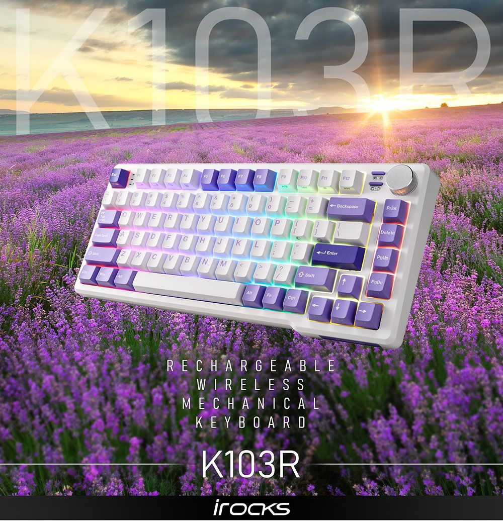 ERG THPJLF12-BackspacePrintDeleteEnterBN ShiftPgDnRECHARGEABLEWIRELESSMECHANICALKEYBOARDK103R