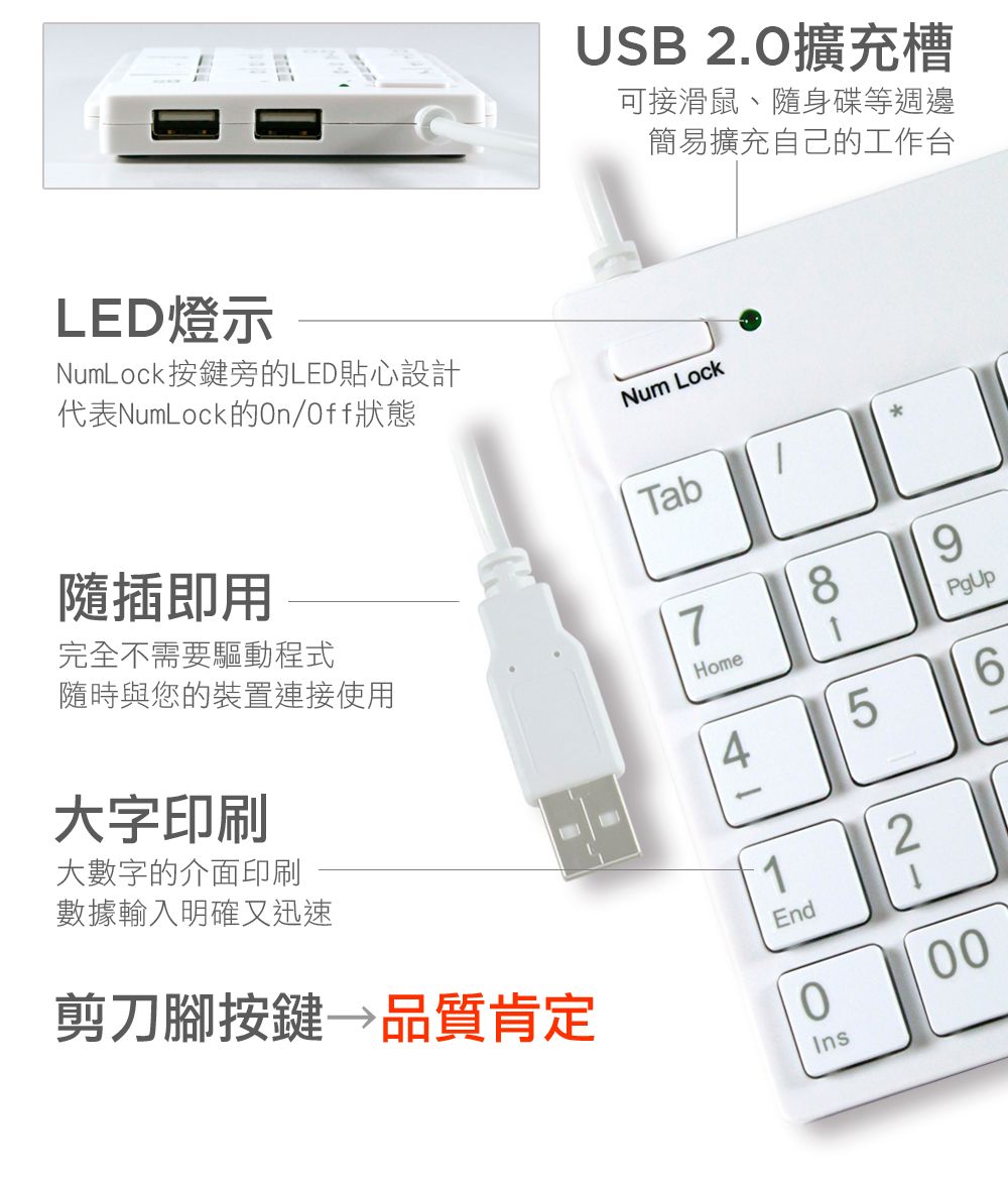 USB2.擴充槽可接滑鼠、隨身碟等週邊簡易擴充自己的工作台LED燈示NumLock按鍵旁的LED貼心設計代表NumLock的/Off狀態Num Lock隨插即用Tab完全不需要驅動程式隨時與您的裝置連接使用7Home大字印刷大數字的介面印刷4859PgUp6數據輸入明確又迅速剪刀腳按鍵 品質肯定1End000Ins