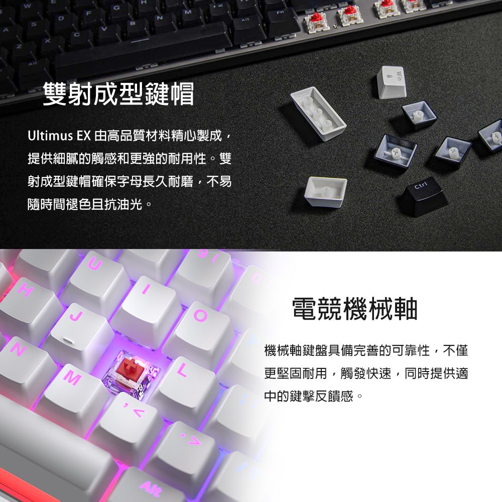 D雙射成型鍵帽Ultimus EX 由高品質材料精心製成,提供細膩的觸感和更強的耐用性。雙射成型鍵帽確保字母長久耐磨,不易隨時間褪色且抗油光。MAlt電競機械軸機械軸鍵盤具備完善的可靠性,不僅更堅固耐用,觸發快速,同時提供適中的鍵擊反饋感。
