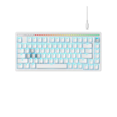 AT75 Rapid Trigger有線RT光軸電競鍵盤-經典元素 冰川銀