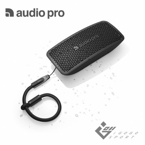Audio Pro 瑞典專業音響品牌Audio Pro P5 藍牙喇叭