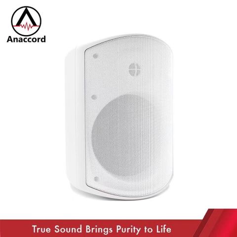 Anaccord 雅那歌音響 6吋壁掛式音響 IPX66防水系列 重低音 音響喇叭 內含變壓器 （一組）