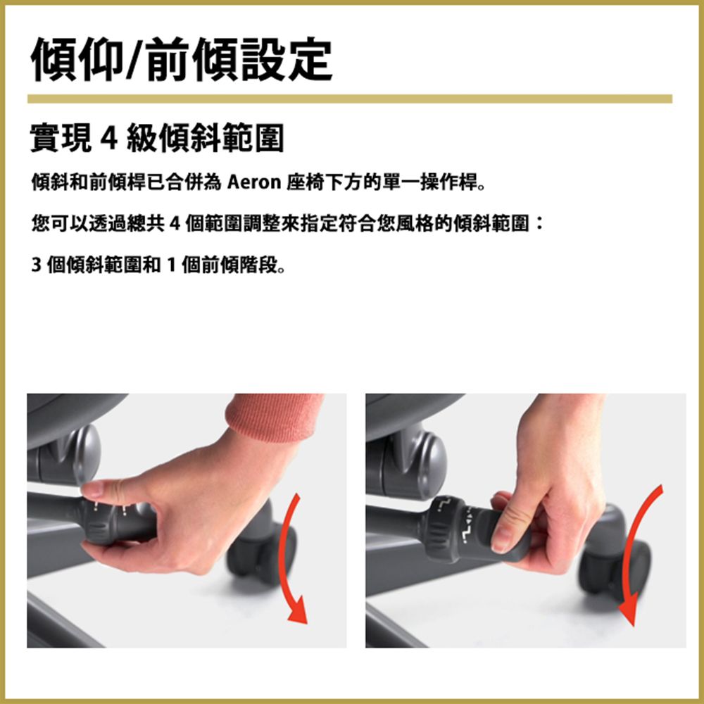 Herman Miller  Aeron2.0 全功能款人體工學椅 (平行輸入) B SIZE