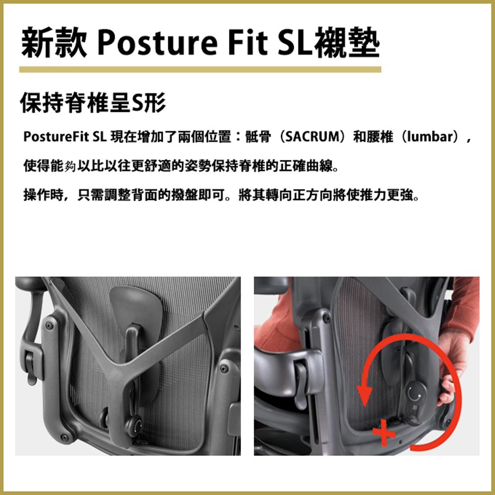 Herman Miller  Aeron2.0 全功能款人體工學椅 (平行輸入) B SIZE
