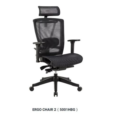 【ERGO CHAIR 2】 5001HBG (全網面設計-會前傾) 黑框/黑網 電腦椅/辦公椅/人體工學椅(DIY)
