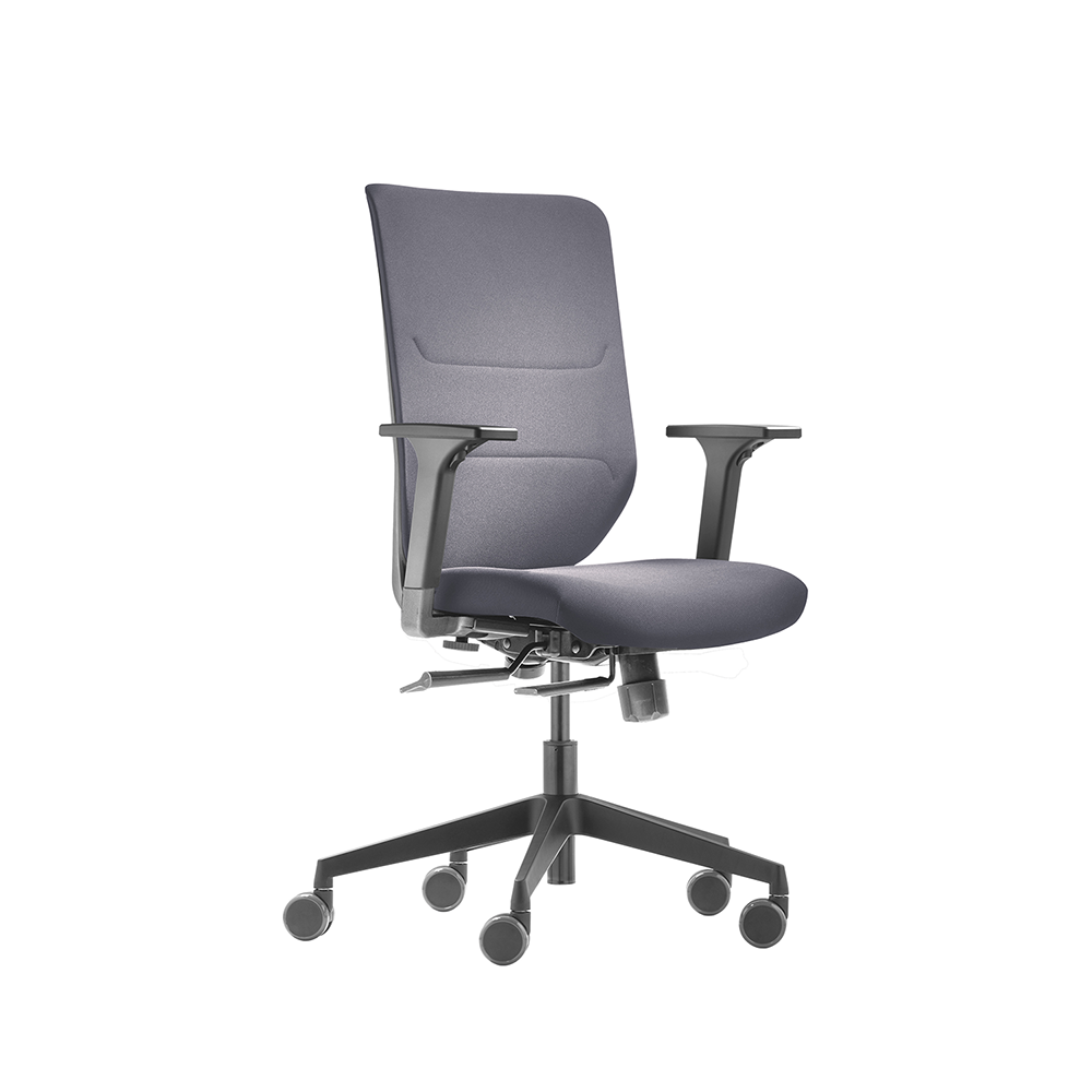 Aurora 震旦家具 【DAUPHIN 】Sync Pro全功能人體工學椅(德國進口)