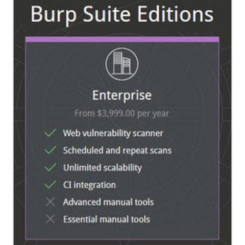 PortSwigger Burp Suite Enterprise (網頁弱點偵測) 企業版單機版 (5agent)(一年版) (下載)