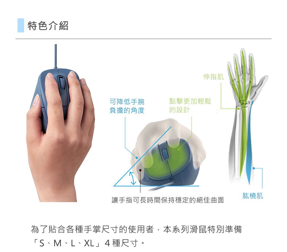 特色介紹伸指肌可降低手腕負擔的角度點擊更加輕鬆的設計肱橈肌讓手指可長時間保持穩定的絕佳曲面為了貼合各種手掌尺寸的使用者,本系列滑鼠特別準備「S、M、L、XL4 種尺寸。