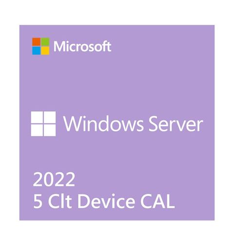 Microsoft 微軟 C-Win Server CAL 2022 繁中 5 Clt Device CAL 隨機版