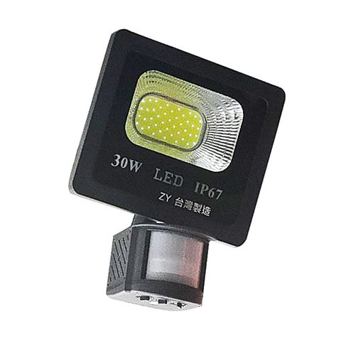 防盜感應燈 工程級台灣製 30W