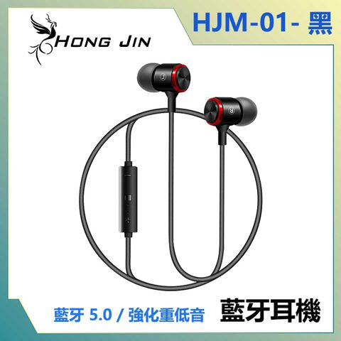 宏晉 Hong Jin HJM-01 藍牙5.0藍牙耳機