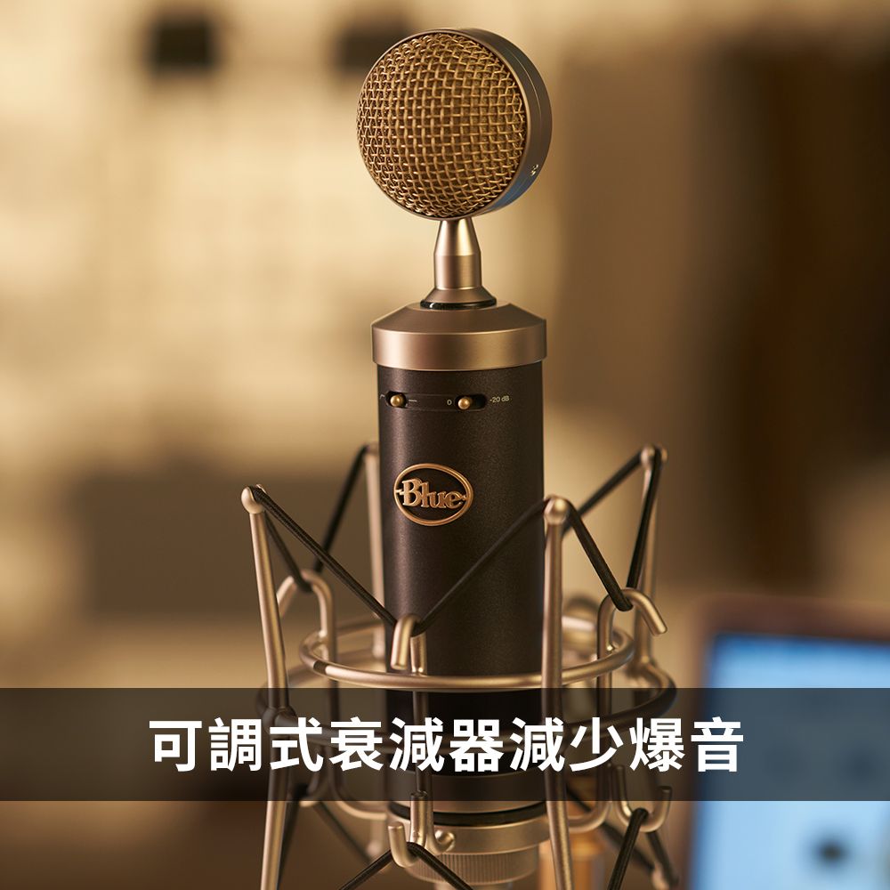 Blue Baby Bottle SL XLR 專業電容式麥克風 (唱歌演奏錄音室專業推薦)