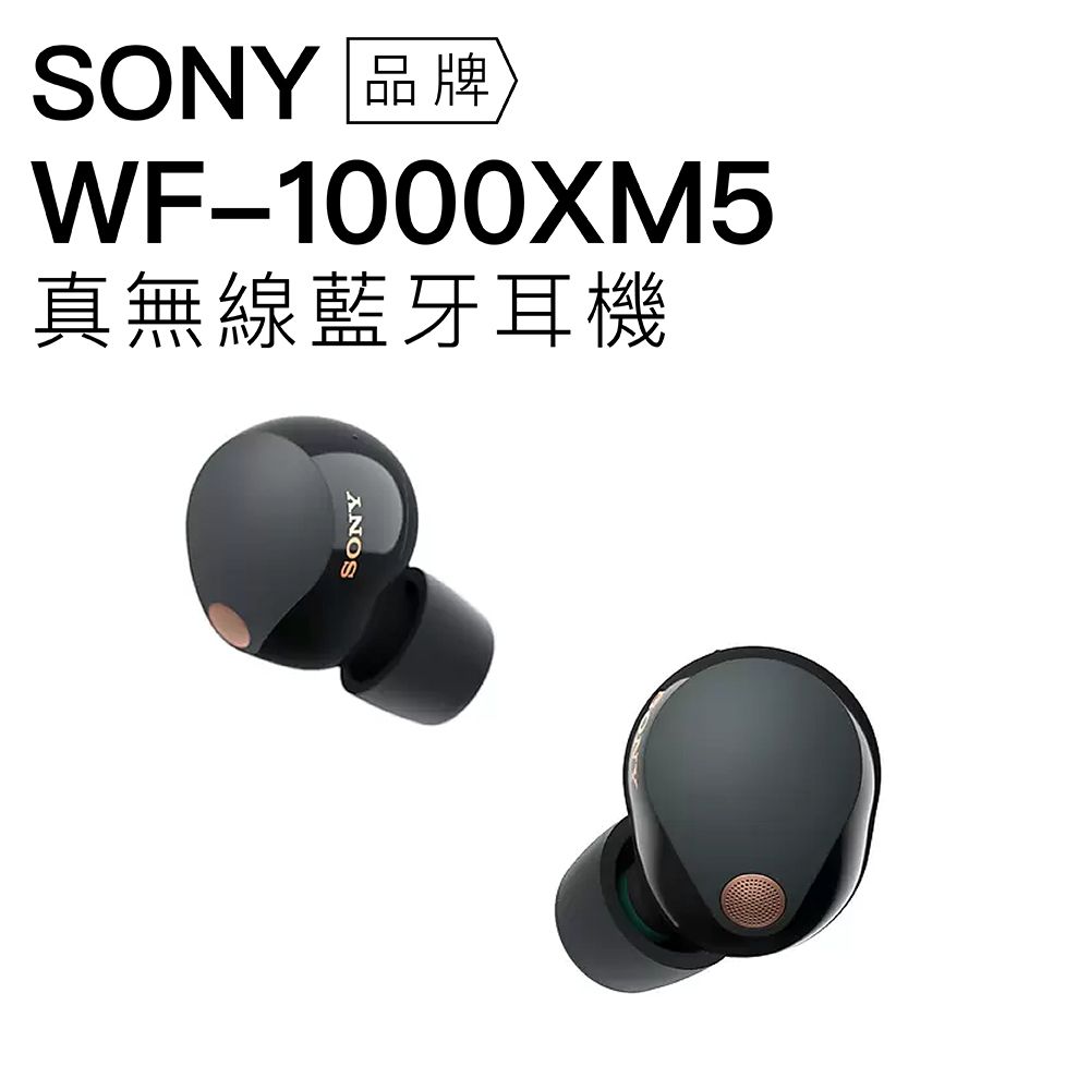 SONY 真無線耳機WF-1000XM5 藍牙降噪高音質公司貨- PChome 24h購物