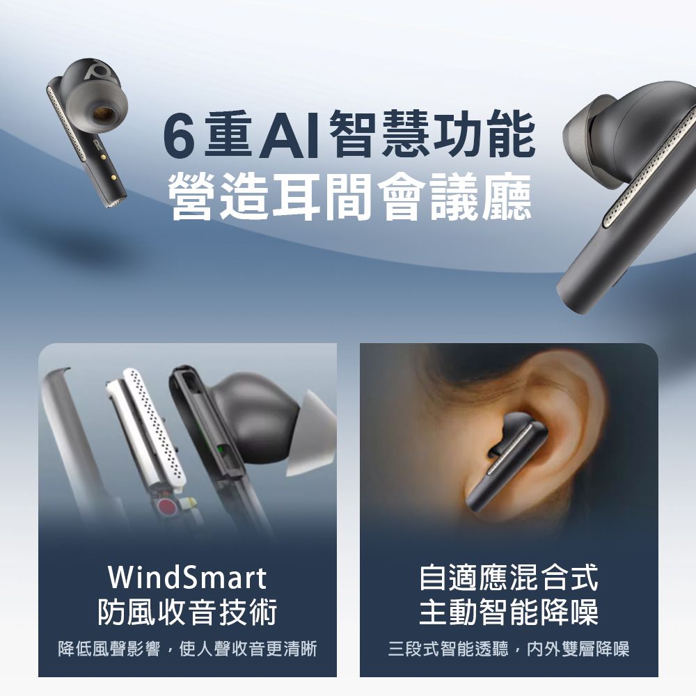 Poly Free 60 - 詳情5