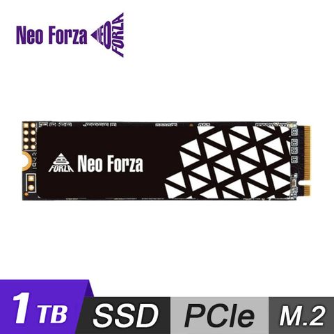 NFP445 1TB Gen4 PCIe SSD固態硬碟