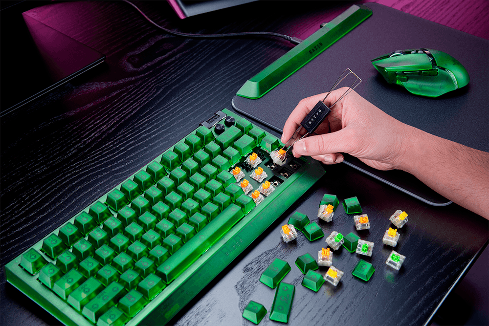 RAZER 雷蛇 BlackWidow V4 75% 黑寡婦 V4 75%幻彩版機械式電競鍵盤 Phantom Green