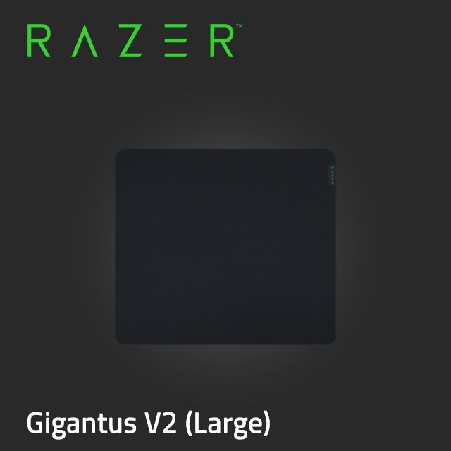 RAZER 雷蛇 Gigantus V2 巨甲蟲滑鼠墊 (大) RZ02-03330300-R3M1