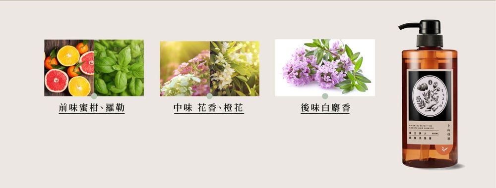 前味蜜柑、羅勒中味 花香、橙花後味白麝香
