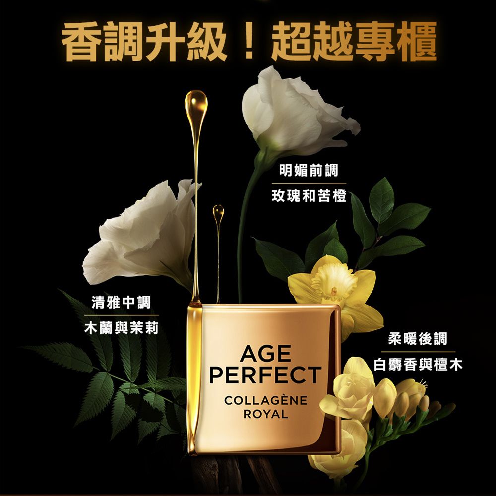 香調升級!超越專櫃清雅中調明媚前調玫瑰和苦橙木蘭與茉莉柔暖後調AGE白麝香與檀木PERFECTCOLLAGÈNEROYAL