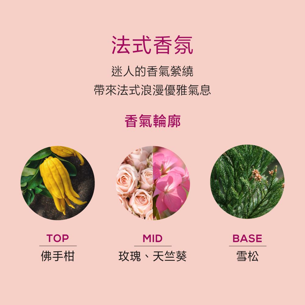 法式香氛迷人的香氣帶來法式浪漫優雅氣息香氣輪廓TOPMIDBASE佛手柑玫瑰、天竺葵雪松