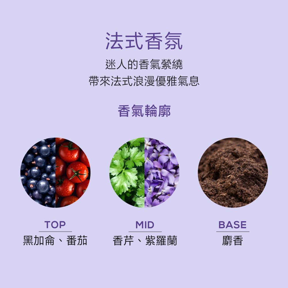 法式香氛迷人的香氣帶來法式浪漫優雅氣息香氣輪廓TOPMIDBASE黑加侖、番茄香芹、紫羅蘭麝香