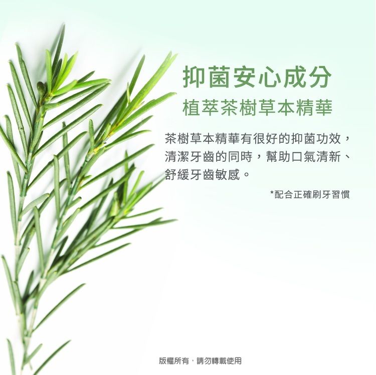 抑菌安心成分植萃茶樹草本精華茶樹草本精華有很好的抑菌功效,清潔牙齒的同時,幫助口氣清新、舒緩牙齒敏感。*配合正確刷牙習慣版權所有,請勿轉載使用