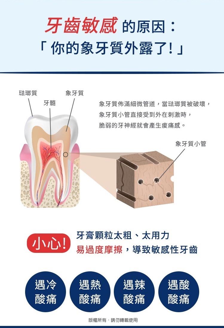 牙齒敏感的原因:「你的象牙質外露了!」琺瑯質牙髓象牙質象牙質佈滿細微管道,當琺瑯質被破壞,象牙質小管直接受到外在刺激時,脆弱的牙神經就會產生感。象牙質小管牙膏顆粒太粗、太用力小心!易過度摩擦,導致敏感性牙齒遇冷遇熱遇辣遇酸酸痛酸痛酸痛酸痛版權所有,請勿轉載使用